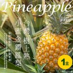 屏東金鑽鳳梨-鳳梨禮盒--Taiwan Fruit Export - Pineapple Export - Banana Export-弘運吉食